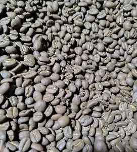 Café Verde Triturado